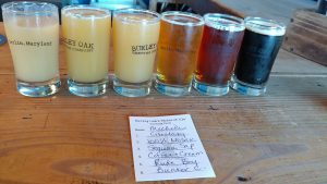 Michele's Flight
